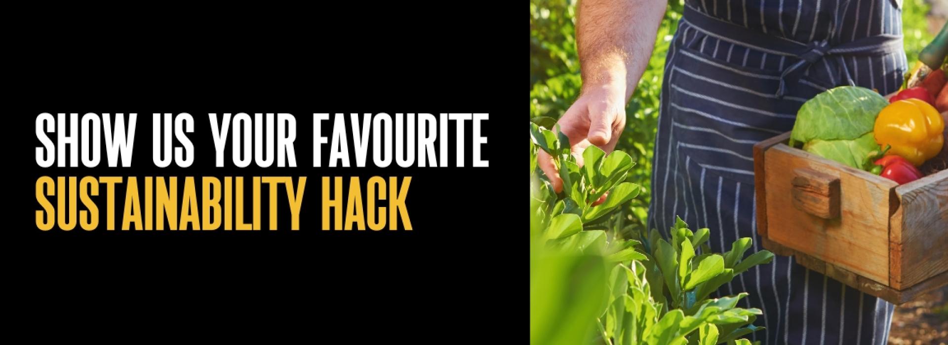 SustainabilityBanner